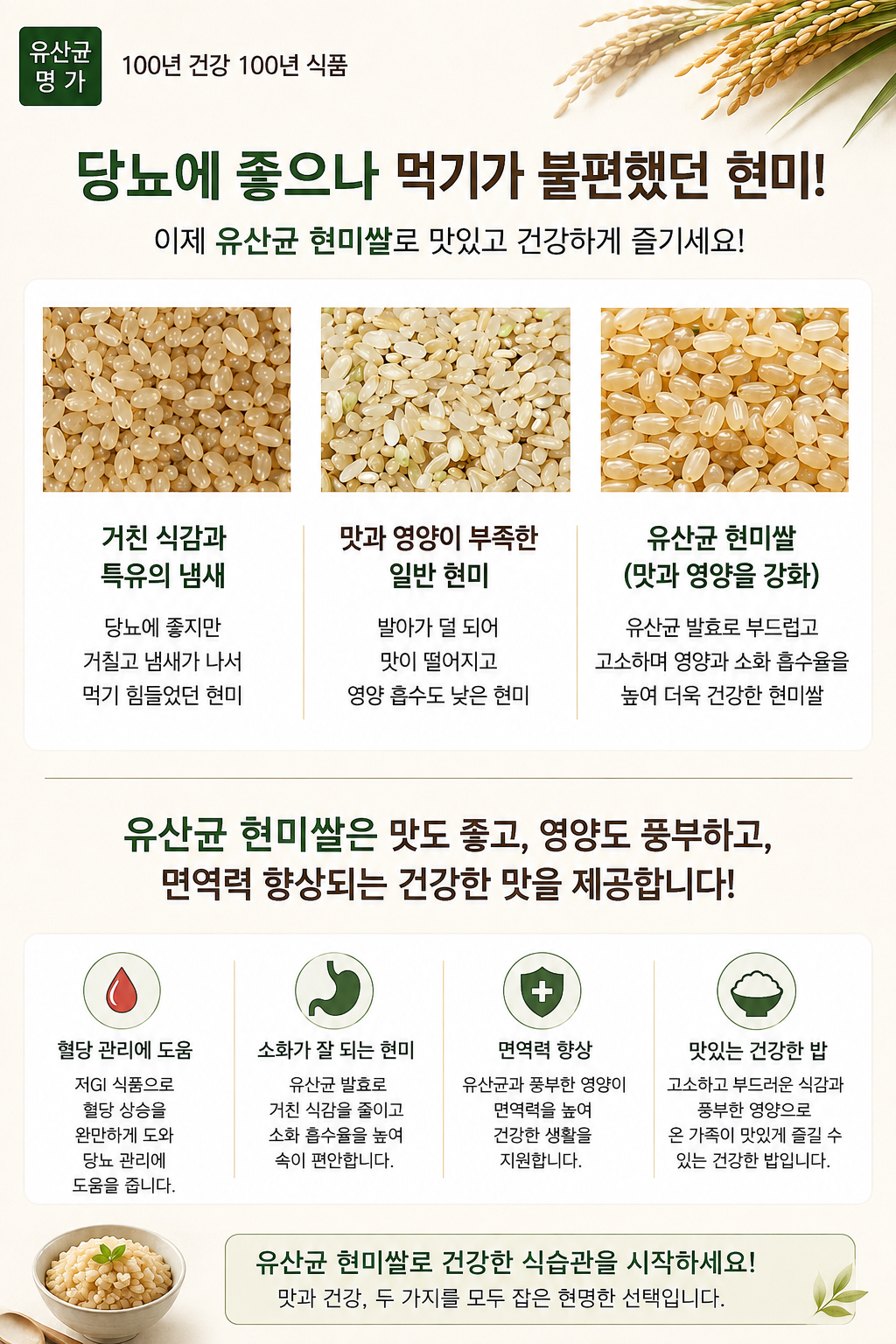 유산균 현미쌀 상세 사진