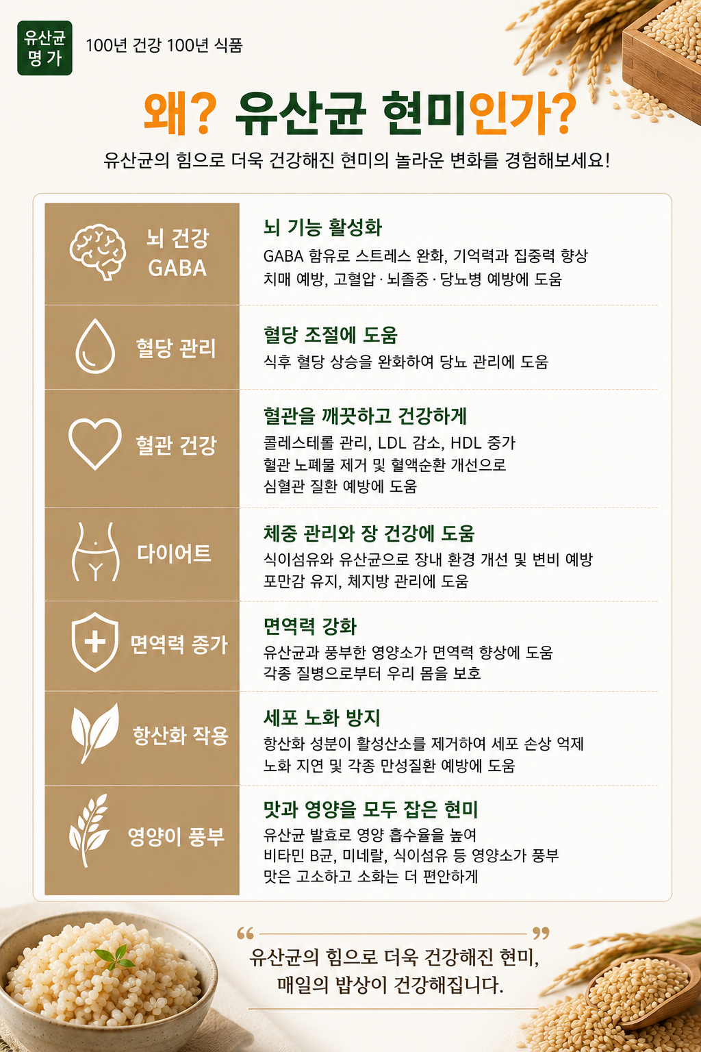 유산균 현미쌀 상세 사진